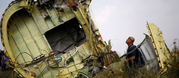 A Malaysian air crash investigator inspects the crash site of Malaysia Airlines Flight MH17, near the village of Hrabove (Grabovo) in Donetsk region, Ukraine, July 22, 2014 A Malaysian air crash investigator inspects the crash site of Malaysia Airlines Flight MH17, near the village of Hrabove (Grabovo) in Donetsk region, Ukraine, July 22, 2014 - Sputnik International