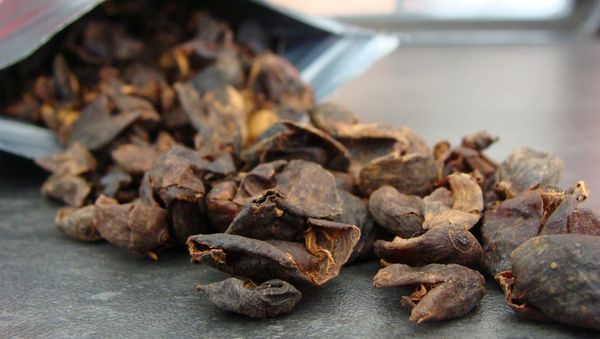 Cascara Cascara - Sputnik International