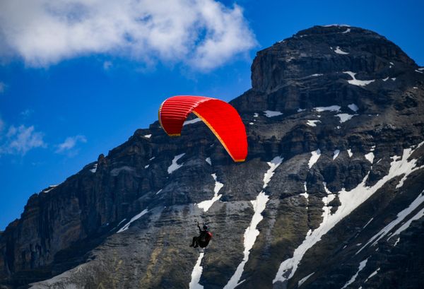 Touch the Sky: Paragliders Practice in Stubaital, Austria Touch the Sky: Paragliders Practice in Stubaital, Austria - Sputnik International