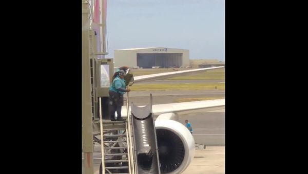 Journalist Vanessa Marsh posted a video of the luggage getting a raw deal at Honolulu Airport. - Sputnik International