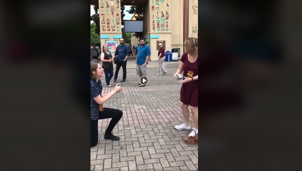 Wedding proposal - Sputnik International