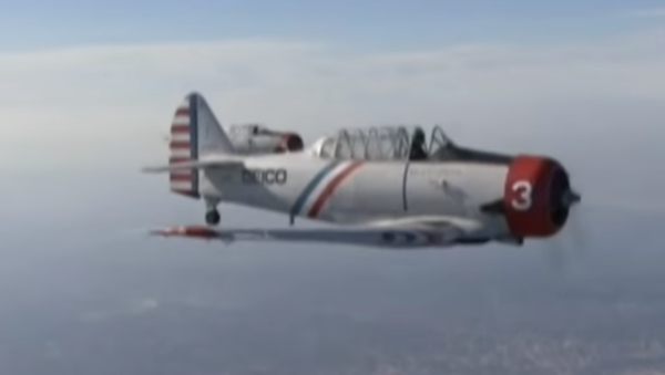 Geico Skytypers' WWII SNJ-2 plane - Sputnik International