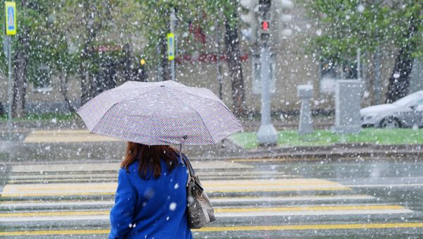 A woman walks in a Moscow street during a snowfall, file photo - Sputnik International