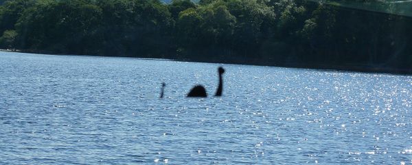 Loch Ness Monster Loch Ness Monster - Sputnik International