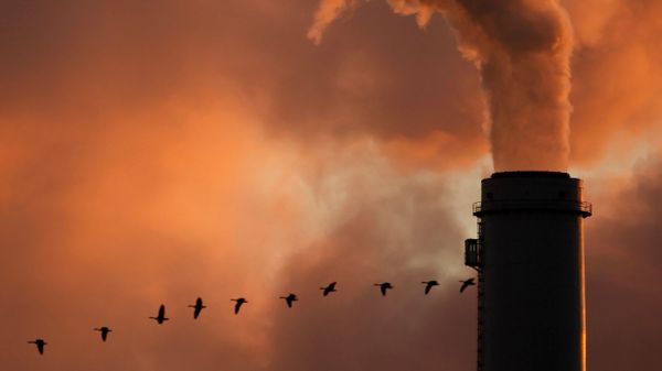 a flock of geese flying past a smokestack at the Jeffery Energy Center coal power plant near Emmitt, KS - Sputnik International