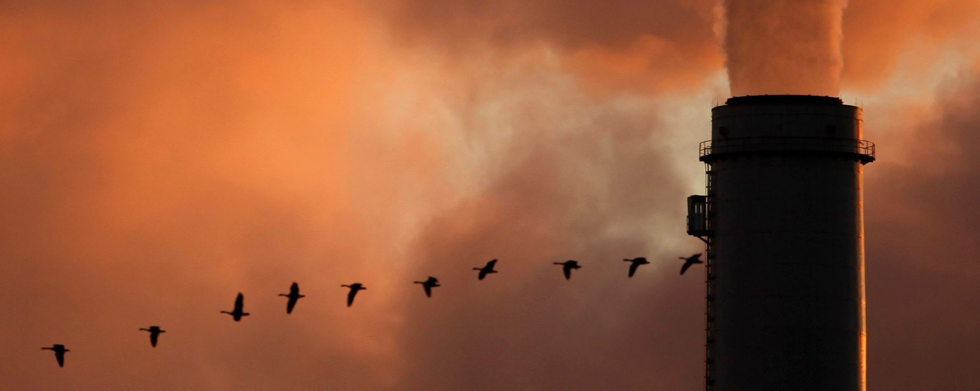 a flock of geese flying past a smokestack at the Jeffery Energy Center coal power plant near Emmitt, KS - Sputnik International, 1920, 19.04.2023