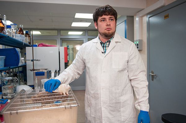 Maxim Abakumov, head of the NUST MISIS Biomedical Nanomaterials Laboratory Maxim Abakumov, head of the NUST MISIS Biomedical Nanomaterials Laboratory - Sputnik International