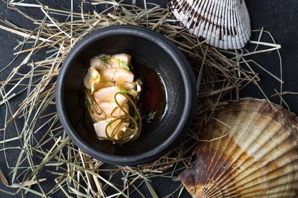 Baran-Rapan’s Glazed scallops with Indian cress and umami broth - Sputnik International