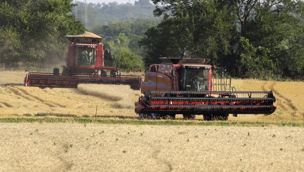 A combine moves to the next field while an other makes its last cut while harvesting wheat near Andover, Kan. (File) A combine moves to the next field while an other makes its last cut while harvesting wheat near Andover, Kan. (File) - Sputnik International