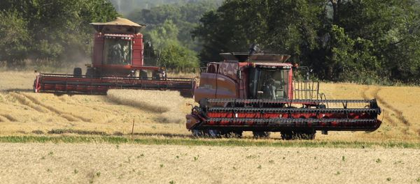 A combine moves to the next field while an other makes its last cut while harvesting wheat near Andover, Kan. (File) - Sputnik International