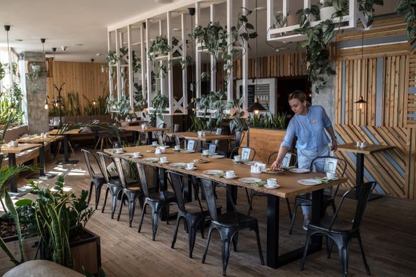 Rostov-on-Don’s Green Café - Sputnik International