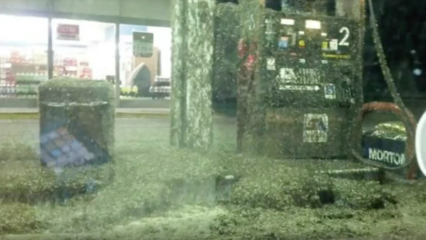 Refuel or Repent? Mayfly Swarm Masks Louisiana Gas Station - Sputnik International