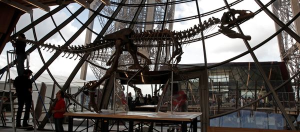 Workers reconstruct dinosaur fossil at the Eiffel tower, in Paris, France, June 2, 2018 ahead of its auction on Monday. Workers reconstruct dinosaur fossil at the Eiffel tower, in Paris, France, June 2, 2018 ahead of its auction on Monday. - Sputnik International
