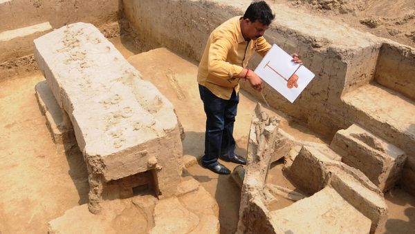 Sk Manjul, director of the Archeological Institute of India, looks at a the remains of a chariot belonging to Indus Valley civilisation after an archeological excavation at Sanauli site in Baghpat on June 4, 2018 - Sputnik International