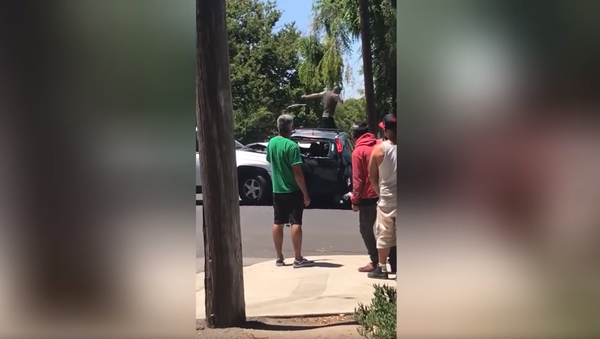 California road rage incident - Sputnik International