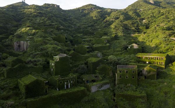 This Week in Pictures: June 2-8 This Week in Pictures: June 2-8 - Sputnik International