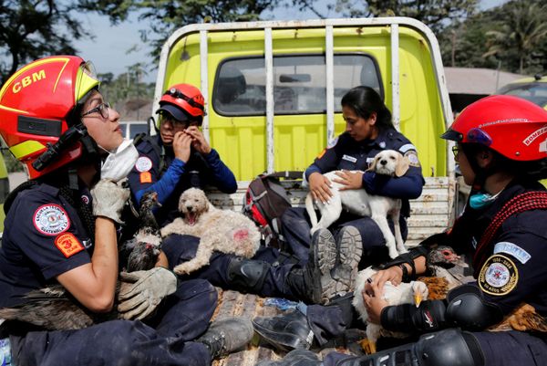 This Week in Pictures: June 2-8 This Week in Pictures: June 2-8 - Sputnik International