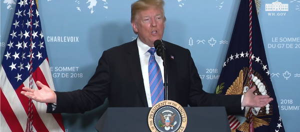 Donald Trump addressing reporters after the G7 summit. Donald Trump addressing reporters after the G7 summit. - Sputnik International