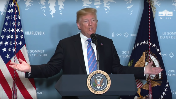 Donald Trump addressing reporters after the G7 summit. Donald Trump addressing reporters after the G7 summit. - Sputnik International