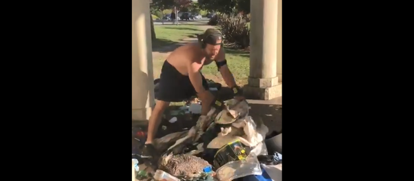 Jogger Destroys Homeless Man's Encampment Jogger Destroys Homeless Man's Encampment - Sputnik International