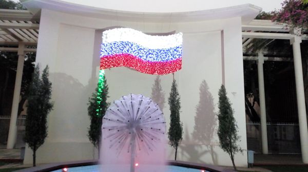 Russia Day, New Delhi 2 - Sputnik International