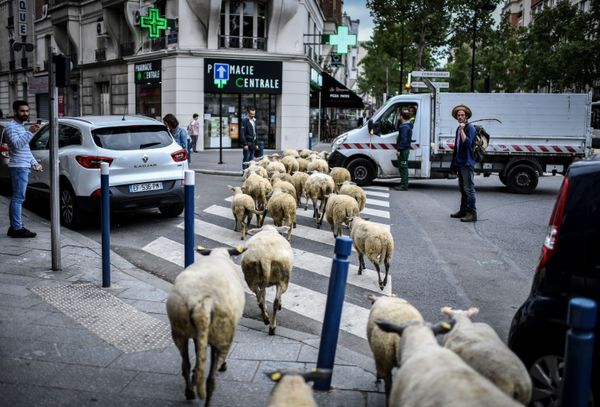 This Week in Pictures: June 9-15 - Sputnik International