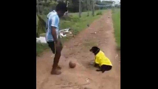 Argentina fan cruelty towards a dog - Sputnik International