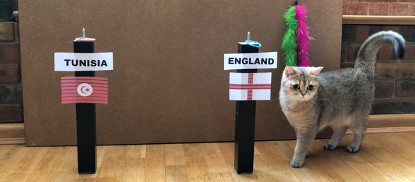 World Cup cat World Cup cat - Sputnik International