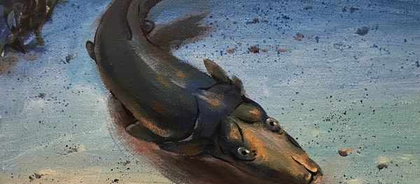 An artist’s impression of Brindabellaspis, a prehistoric Australian platypus-like fish An artist’s impression of Brindabellaspis, a prehistoric Australian platypus-like fish - Sputnik International