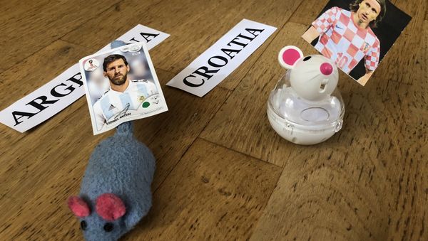 World Cup prediction - Sputnik International