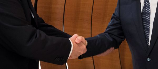 US-Präsident Donald Trump (L) und Russlands Präsident Wladimir Putin (R) während G20-Gipfel (Archivbild) - Sputnik International