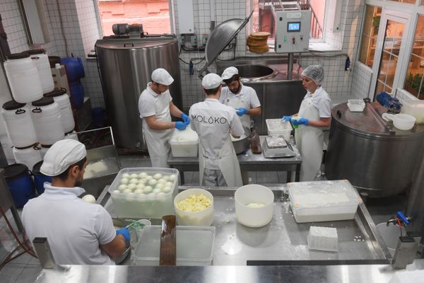 Syrovarnya’s Cheese production - Sputnik International