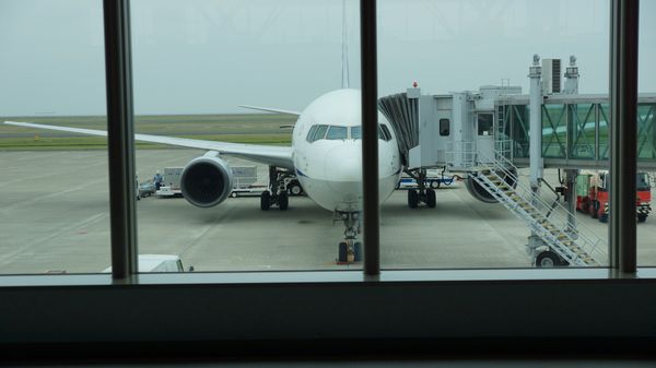 Boeing 767-300 Boeing 767-300 - Sputnik International