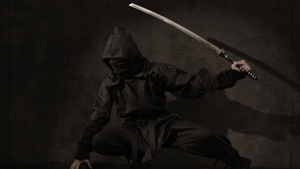 Ninja - Sputnik International
