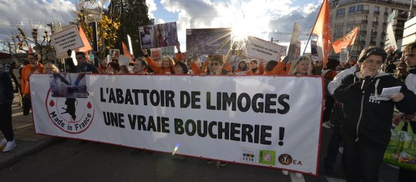 Protesters hold a banner reading The Limoges slaughterhouse, a real butchery! during a demonstration called by animal rights association L214 to protest against animal abuse, notably the slaughtering of pregnant cows, on November 26, 2016, in Limoges, central France Protesters hold a banner reading The Limoges slaughterhouse, a real butchery! during a demonstration called by animal rights association L214 to protest against animal abuse, notably the slaughtering of pregnant cows, on November 26, 2016, in Limoges, central France - Sputnik International