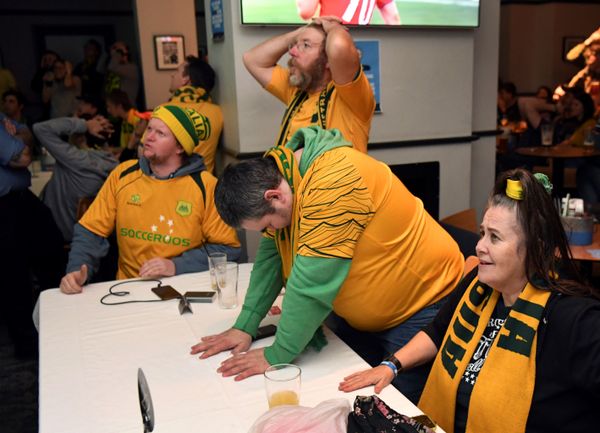 Thrill of Victory and Agony of Defeat: Fans Get Emotional During World Cup - Sputnik International
