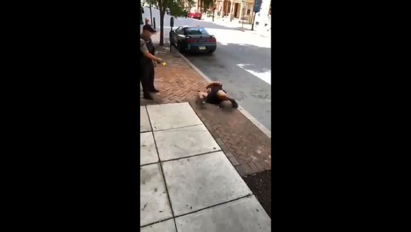 US police use Taser on seated, nonviolent suspect. - Sputnik International