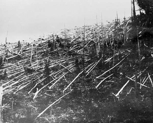 Impact Event: Tunguska Meteorite and Other Space Objects that Have Struck Earth Impact Event: Tunguska Meteorite and Other Space Objects that Have Struck Earth - Sputnik International