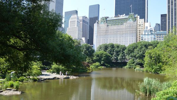 Plaza Hotel, New York City - Sputnik International