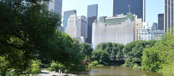 Plaza Hotel, New York City Plaza Hotel, New York City - Sputnik International