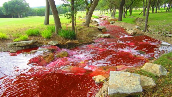 Blood river - Sputnik International