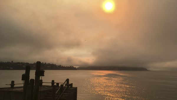 In this photo taken Sunday, July 1, 2018, a haze from wildfires is seen over Angel Island, at right, and San Francisco Bay from Sausalito, Calif. A fire official says a massive wildfire tearing through rural Northern California is burning 1.5 square miles (4 square kilometers) of rugged terrain an hour. Gabe Lauderbale, a spokesman with the California Department of Forestry and Fire Protection, said Monday, that hot temperatures and gusty winds are contributing to the fast spread of the blaze in sparsely populated areas of Yolo and Napa counties - Sputnik International