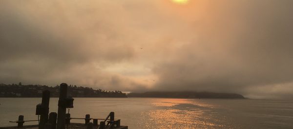 In this photo taken Sunday, July 1, 2018, a haze from wildfires is seen over Angel Island, at right, and San Francisco Bay from Sausalito, Calif. A fire official says a massive wildfire tearing through rural Northern California is burning 1.5 square miles (4 square kilometers) of rugged terrain an hour. Gabe Lauderbale, a spokesman with the California Department of Forestry and Fire Protection, said Monday, that hot temperatures and gusty winds are contributing to the fast spread of the blaze in sparsely populated areas of Yolo and Napa counties In this photo taken Sunday, July 1, 2018, a haze from wildfires is seen over Angel Island, at right, and San Francisco Bay from Sausalito, Calif. A fire official says a massive wildfire tearing through rural Northern California is burning 1.5 square miles (4 square kilometers) of rugged terrain an hour. Gabe Lauderbale, a spokesman with the California Department of Forestry and Fire Protection, said Monday, that hot temperatures and gusty winds are contributing to the fast spread of the blaze in sparsely populated areas of Yolo and Napa counties - Sputnik International