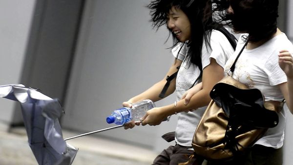In this photo released by China's Xinhua News Agency, passers-by struggle in the street with an umbrella almost blown off in Hong Kong, south China (File) In this photo released by China's Xinhua News Agency, passers-by struggle in the street with an umbrella almost blown off in Hong Kong, south China (File) - Sputnik International