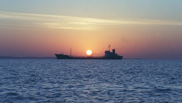 An Iranian water storage tanker sails off the coast of Qeshm Island in the Strait of Hormuz, one of the world's most important waterways (File) An Iranian water storage tanker sails off the coast of Qeshm Island in the Strait of Hormuz, one of the world's most important waterways (File) - Sputnik International