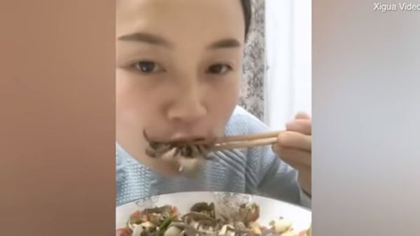 Moment crab pinches woman on the lip right before being eaten by her - Sputnik International