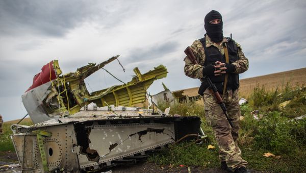 A militiaman at the crash site of the Malaysia Airlines Boeing 777 aircraft near Shakhtyorsk, Donetsk Region. File photo - Sputnik International