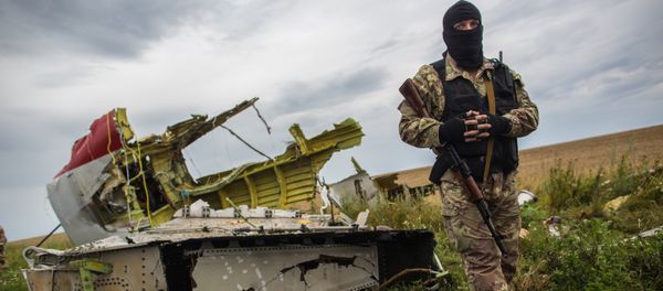 A militiaman at the crash site of the Malaysia Airlines Boeing 777 aircraft near Shakhtyorsk, Donetsk Region. File photo A militiaman at the crash site of the Malaysia Airlines Boeing 777 aircraft near Shakhtyorsk, Donetsk Region. File photo - Sputnik International
