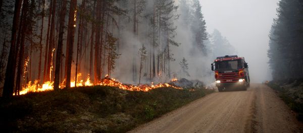 A wildfire is seen in Karbole outside Ljusdal, Sweden, July 15, 2018. Picture taken July 15, 2018 - Sputnik International