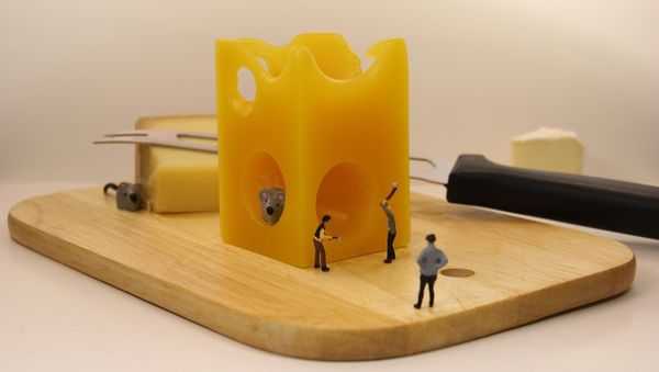 Cheese - Sputnik International